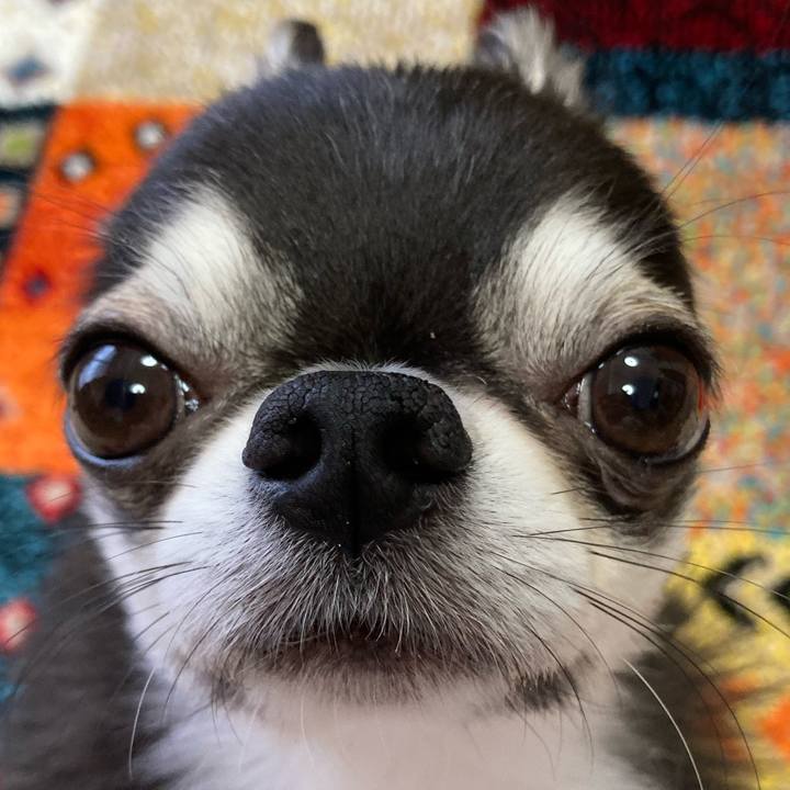 2bdcb259 8e0b 460e b6d0 d1304e2b9ce6 1683323710667