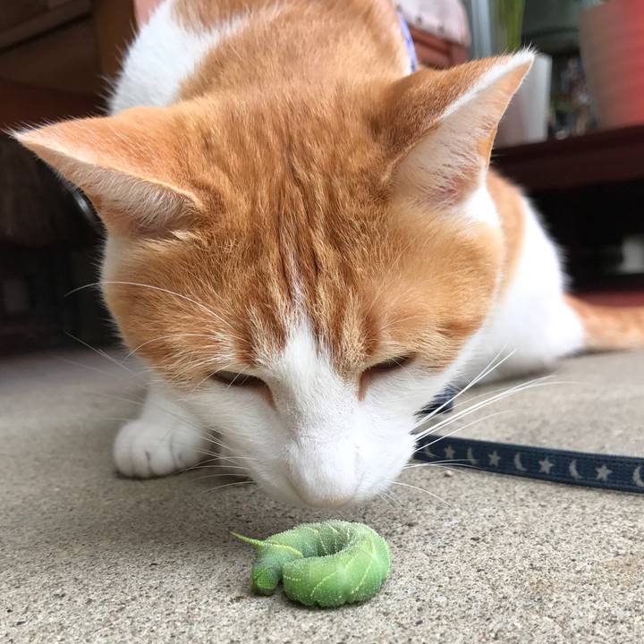 2bdce463 dd8d 455d 8163 6e3d140fb727 1563731268320