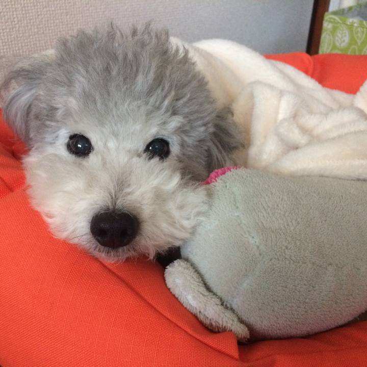 2bdd0421 99b2 48c9 bdb4 8976c8361bfa 1508973893002