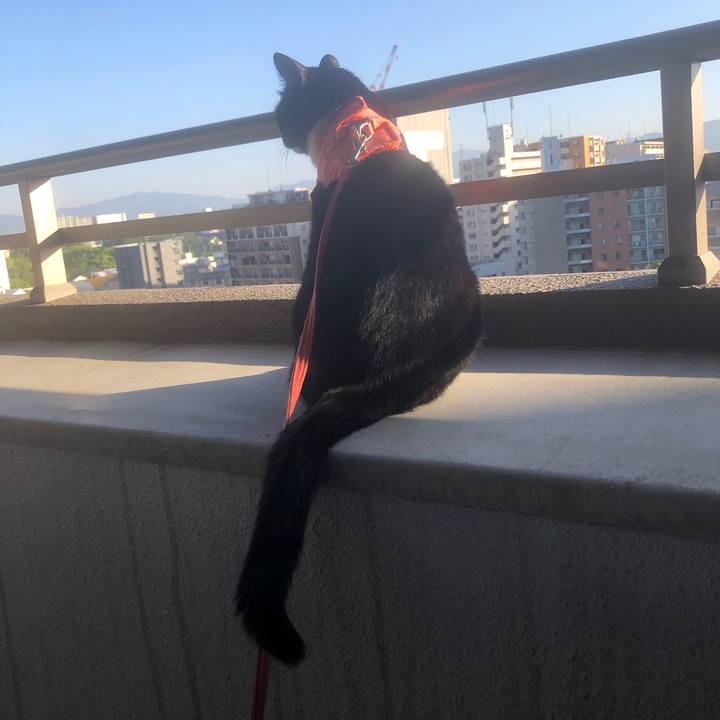 2bdd172c 965a 4249 8046 4d77acee9f40 1558670156134