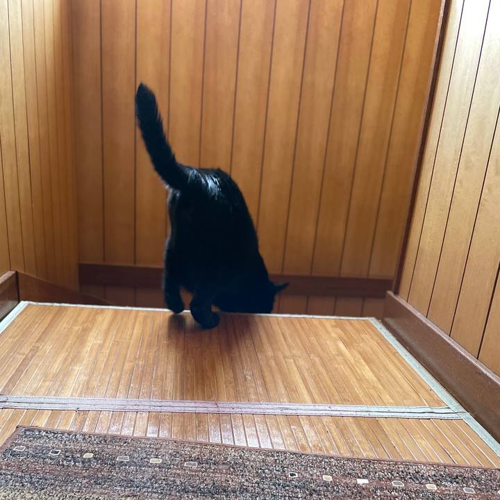 2bdd91b5 9bab 44b5 ab24 ac85ba6f359b 1660529613837