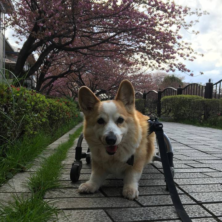 2bddb013 f1dd 4624 a54c f94ab7fd49f3 1555318522418