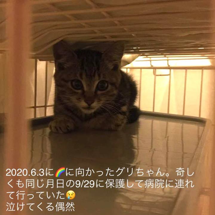 2bddb81e 5cf5 4904 ab13 352efbcdf8f4 1696112933220