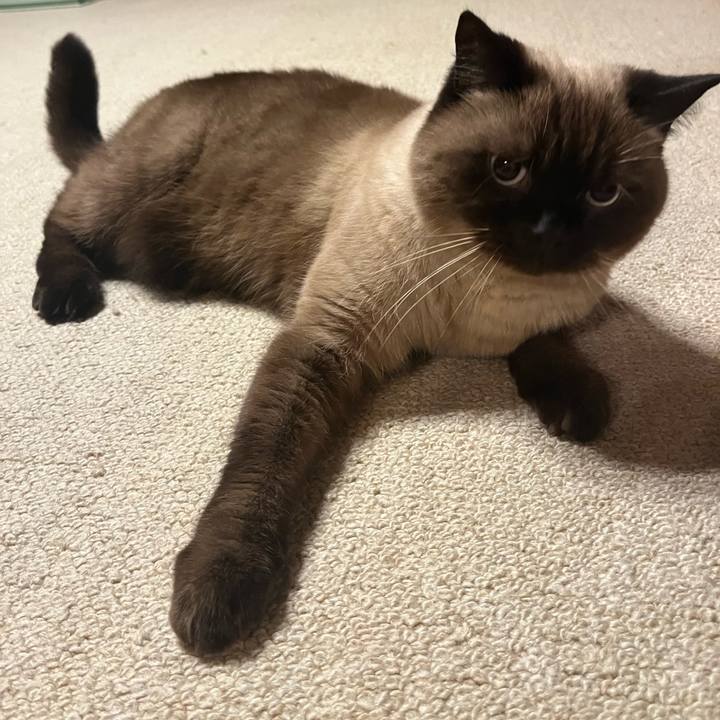 2bddb98b 0461 4899 8684 66436e13c931 1699608902381