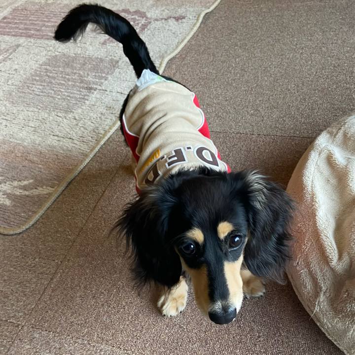 2bddc66b 3a80 4ede a6b7 73be49dbaf6c 1676417423322