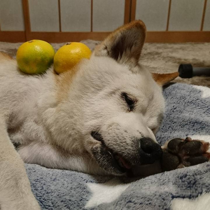 2bddcc98 bf9b 459d 82d8 0d4aa41aa56f 1508335537680