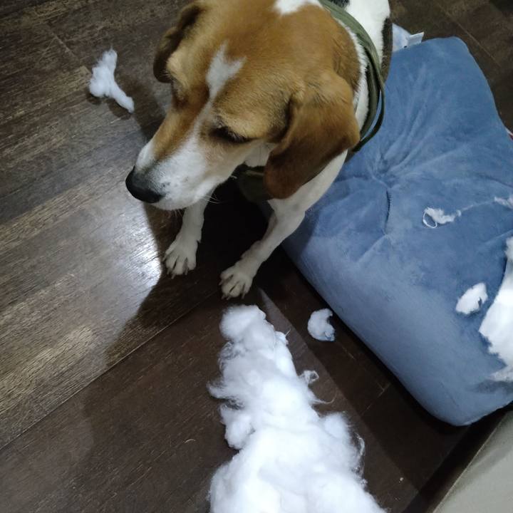 2bdde17e 5b73 4d97 b672 02f61c39d56d 1670751082972