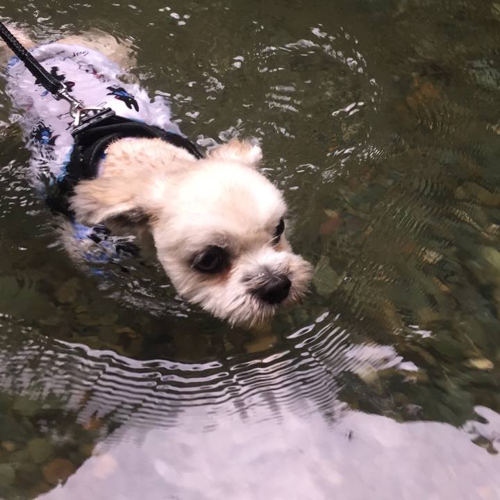 2bdde768 18d1 4094 b9bf 7db9b1fa965f 1534078264608