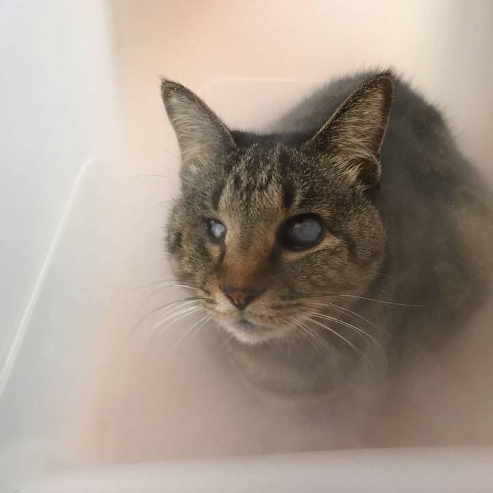 2bde0450 8404 4172 9797 35d509aa5ea9 1612961014868