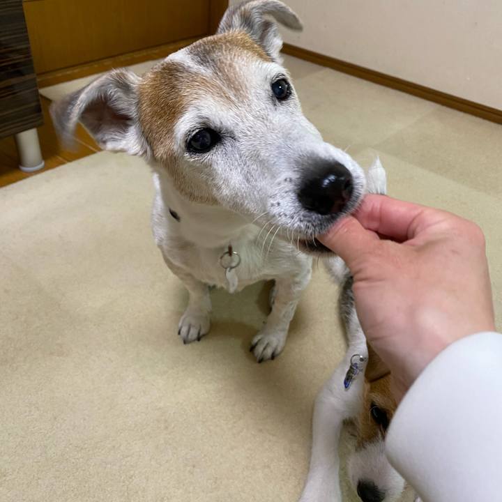 2bde3118 c52d 45ef a2a8 a2ec966ac5d4 1618046650463