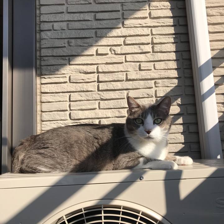 2bde9e57 6a25 4625 911a f5697d4abcd8 1604189637156