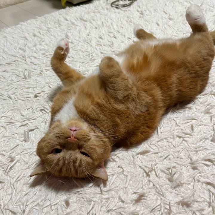 2bdeb321 471d 4758 bfd8 badc3adb4c7a 1664021887996