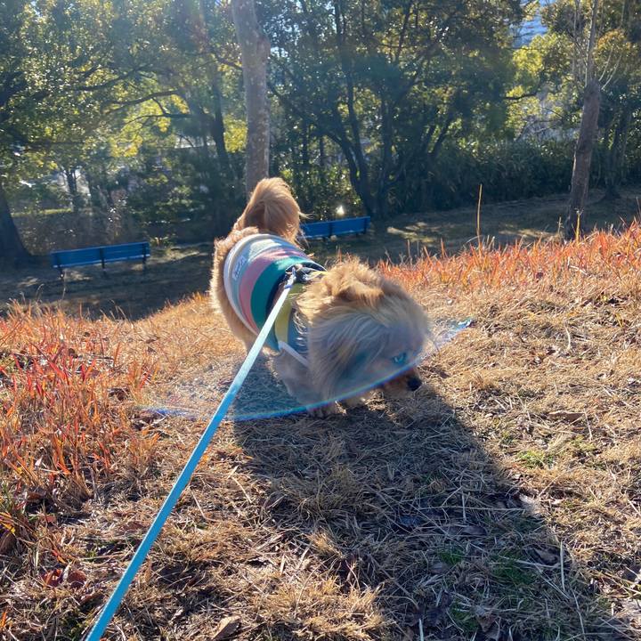 2bdeb6b7 4818 4498 9013 039b15ef7804 1641778130871