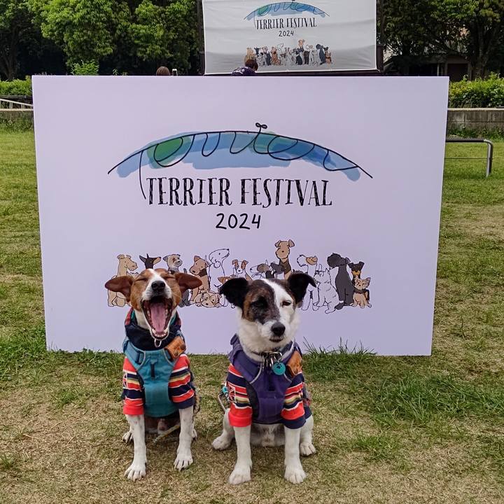 2bdec073 6561 41bc 9bb1 de4352a3a1d9 1716114710528