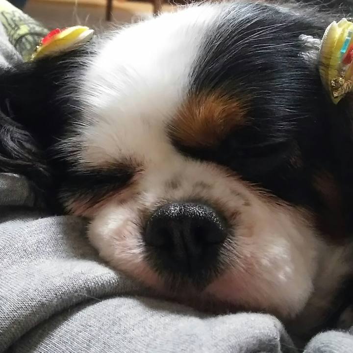 2bded49b 9de1 4477 8552 49dba3dcba0a 1518362657956