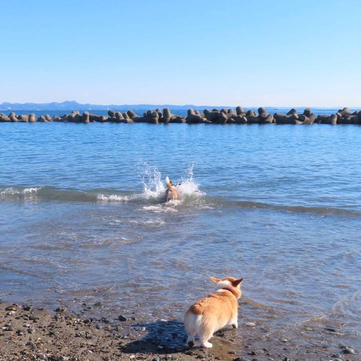 2bded94e 74c1 4fcd 8649 71e268bccd34 1636861676771