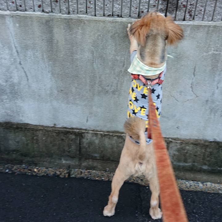 2bdeebeb a798 4ba3 b46d 6f140b79606c 1552643288178