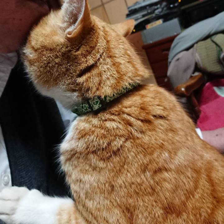 2bdf1854 4854 492e a53c 4e9b8bcfa7a3 1581930237689