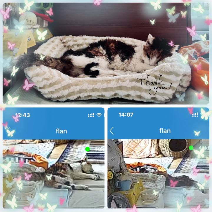 2bdf6b3c b52c 4999 9b86 6ef74e0bda54 1747654765443