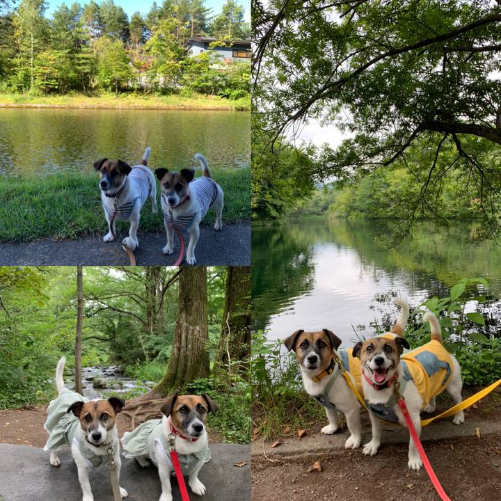 2bdf71a0 7921 49cd afac e0a8836c3529 1661508371537