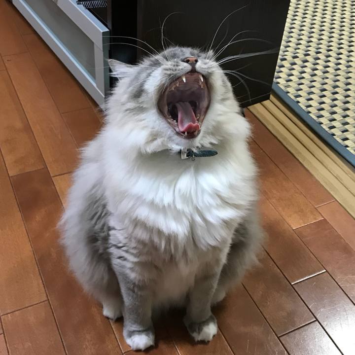 2bdf7a3a b56a 46d0 951d 7d97c38b74fe 1514286719074