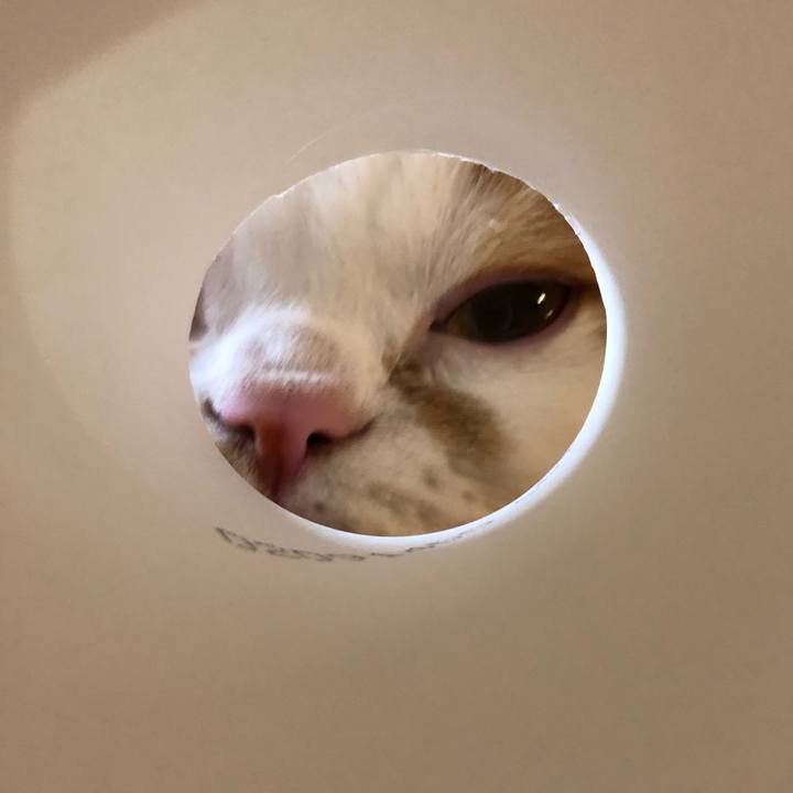 2bdf9b4f a794 45b0 8d20 e56e4ee799cc 1608071222455