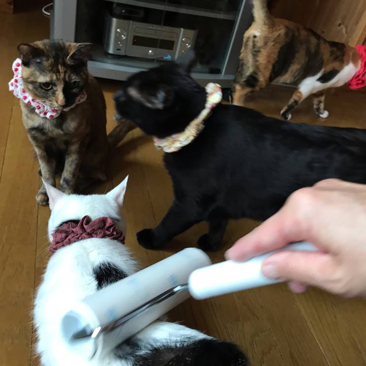 2be011f8 dc2d 4d8a 9e42 c05fa54cf50b 1620688109105