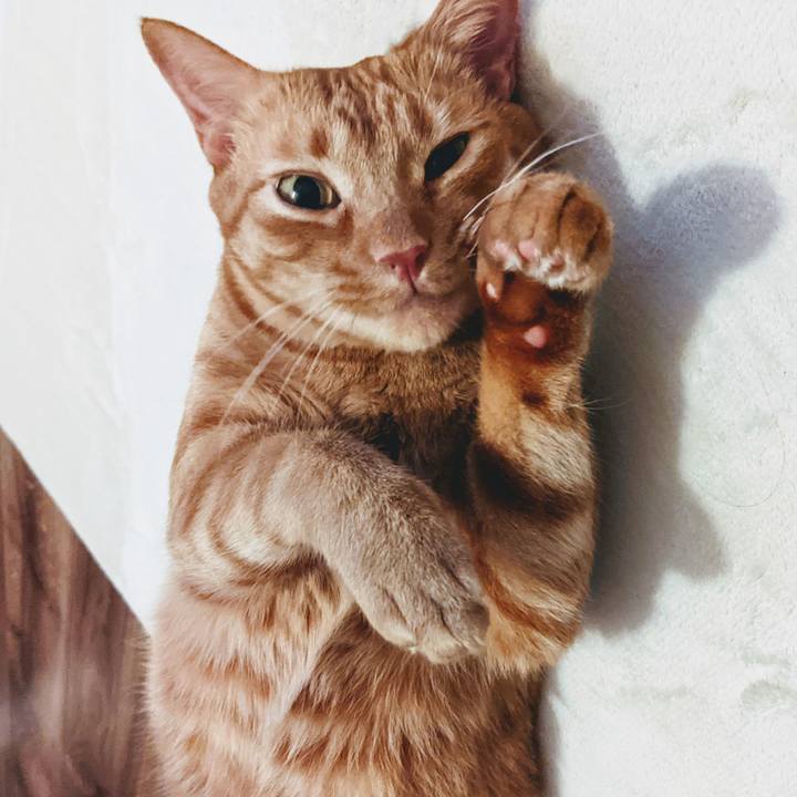 2be046a1 ddea 4493 81d5 eecf8aef5b1b 1628770547825