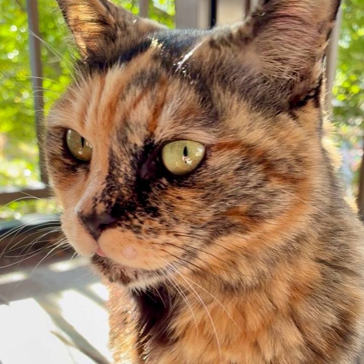 2be06b95 1d81 4e08 8cec 6ab031f4dace 1768394255036