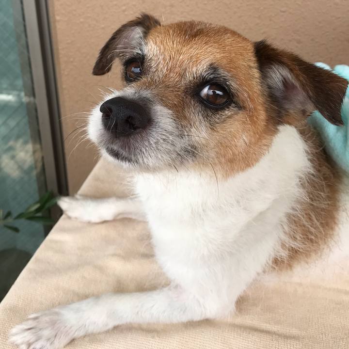 2be06ce6 9de2 431b bd85 aed4733480f3 1559626206595