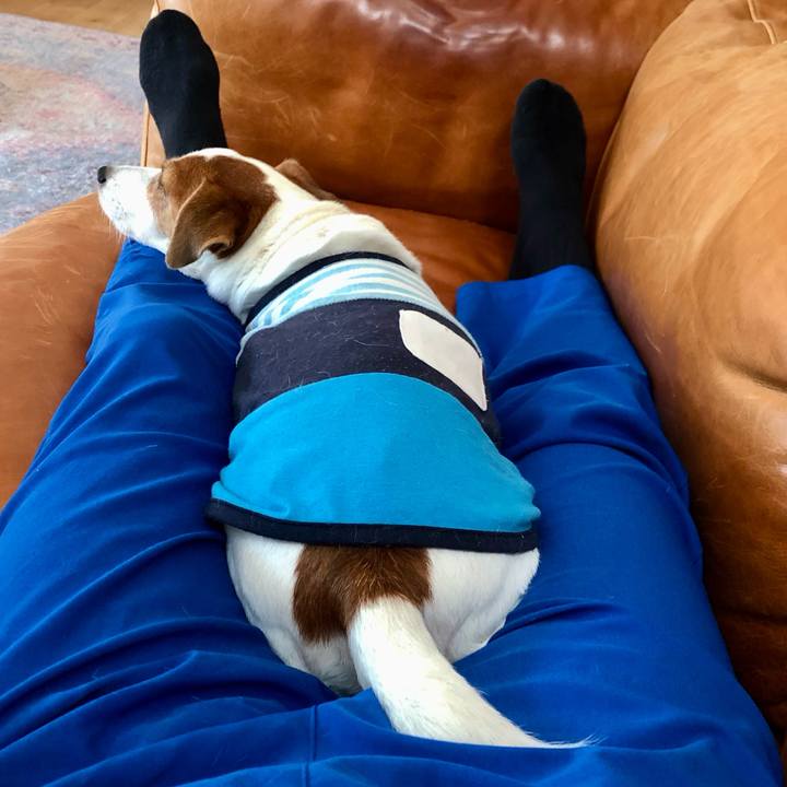 2be0c1da 7160 4b9c 9d76 f0f6627b30fe 1728284824325