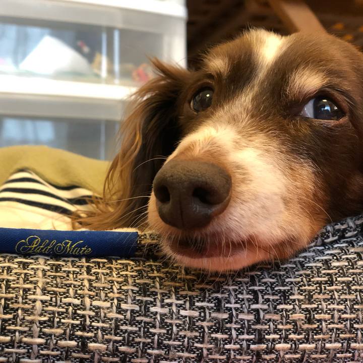 2be10926 3f37 4ebf 8bf0 451e6cd6a04b 1547274390352