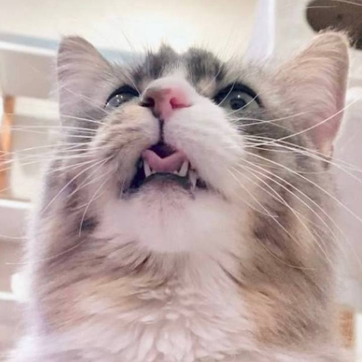 2be1294d 5ae9 4695 b8a8 37f56291d781 1689610972353