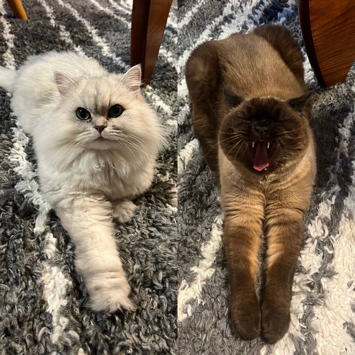 2be14f7f 65e2 45b5 b58c 6e343da2b6c2 1700529753795