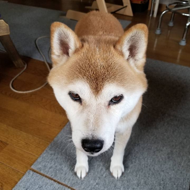 2be159c8 2ca2 41f2 add4 8b31d98908fb 1598076194222