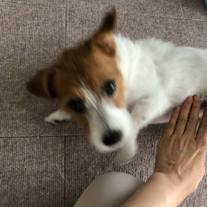 2be15f5f 0719 4edc b899 33aebeae15ce 1535866055055