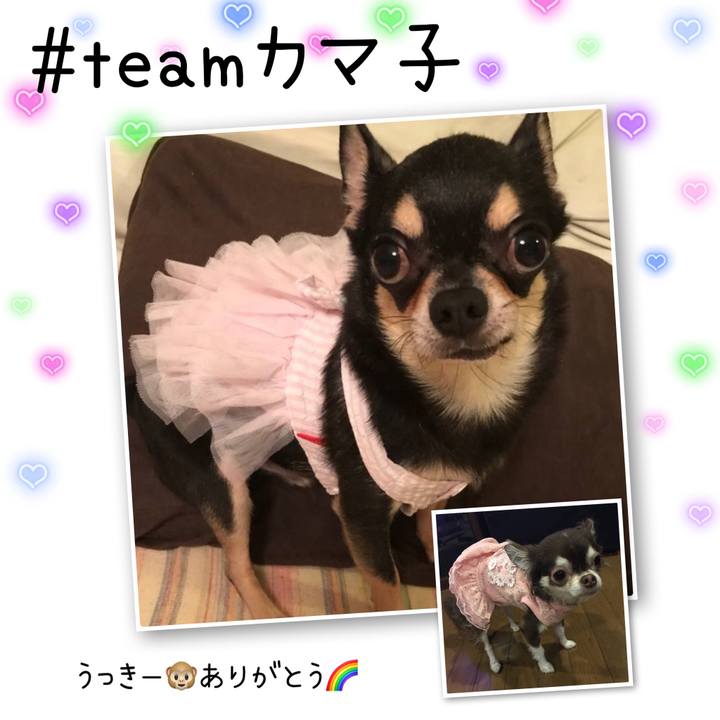 2be16b4d 8864 4aac 85c3 458b89f03199 1713443227150