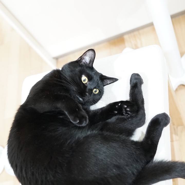 2be17ddb e8b1 4561 8ad4 32c1f03f8f63 1559879412908