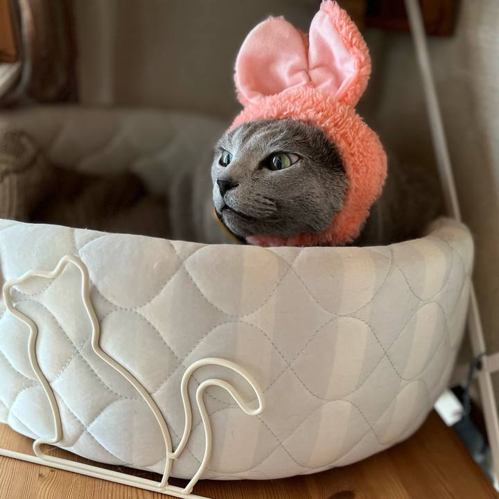 2be18921 a9e0 465b ae6d cad00e0e8e54 1675765221713