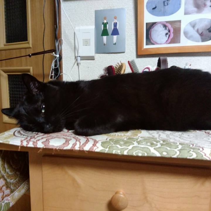 2be18fa3 6658 492b b952 57b3d494afc4 1594209798649