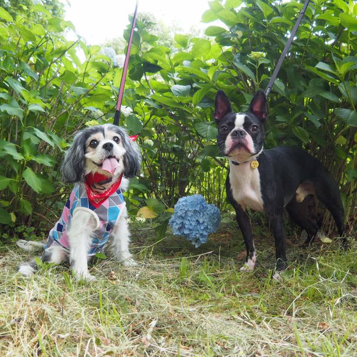 2be19101 ebac 4d63 bb29 8141563e9910 1559359076665