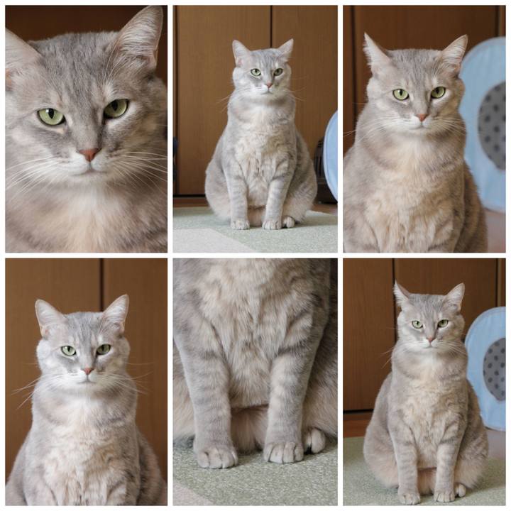 2be191d1 0c8f 4805 a554 a3f9c6313e45 1644662605311