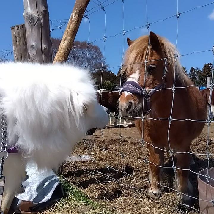 2be1d6b1 3e26 4a4c 9be3 7d42a264ba68 1679315296781