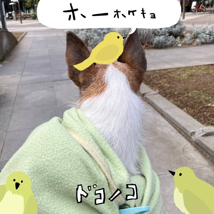 2be2406e 7d8c 4229 afa6 0caa76dfef16 1711241244395