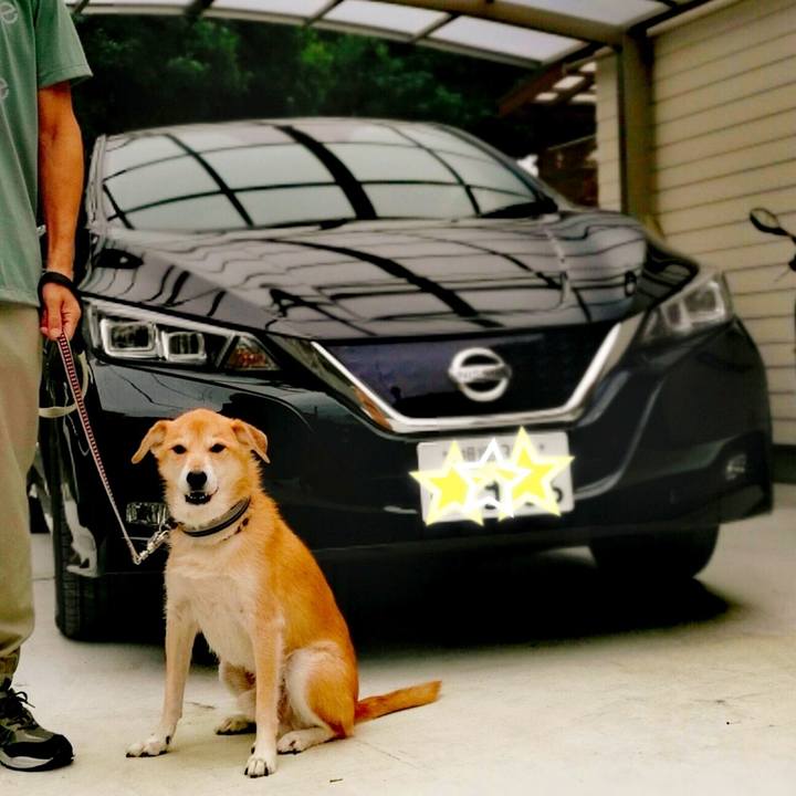 2be24530 1b24 47a1 b9c7 9bd8beefbb25 1539489832240