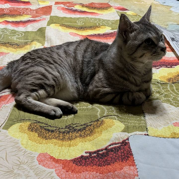 2be26661 5761 4592 a16d e371cf33e188 1720282274012