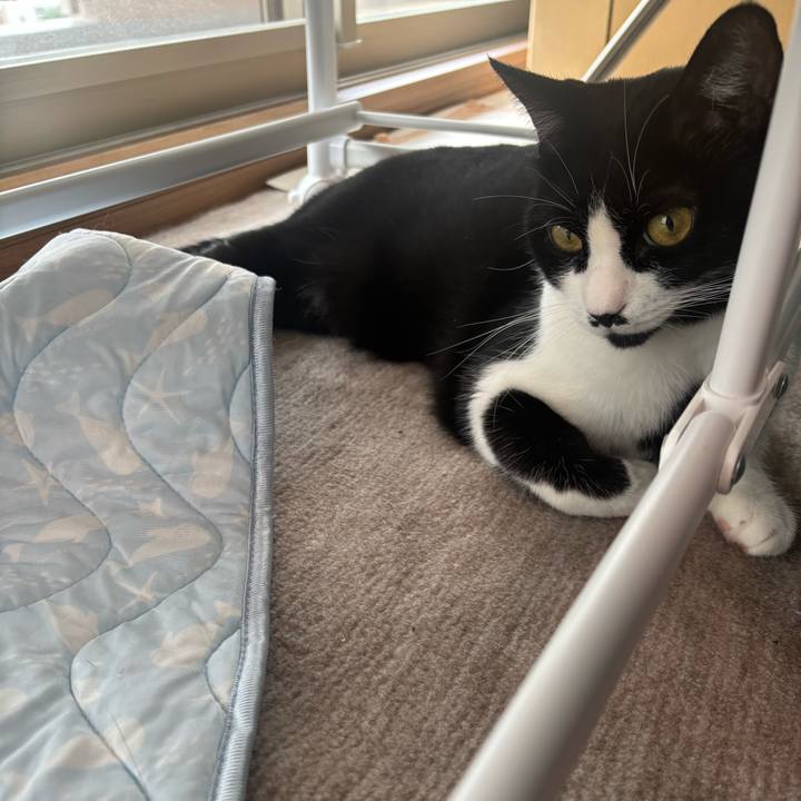 2be2ff88 a28f 45eb 89a4 744480c5a9b8 1756175730748