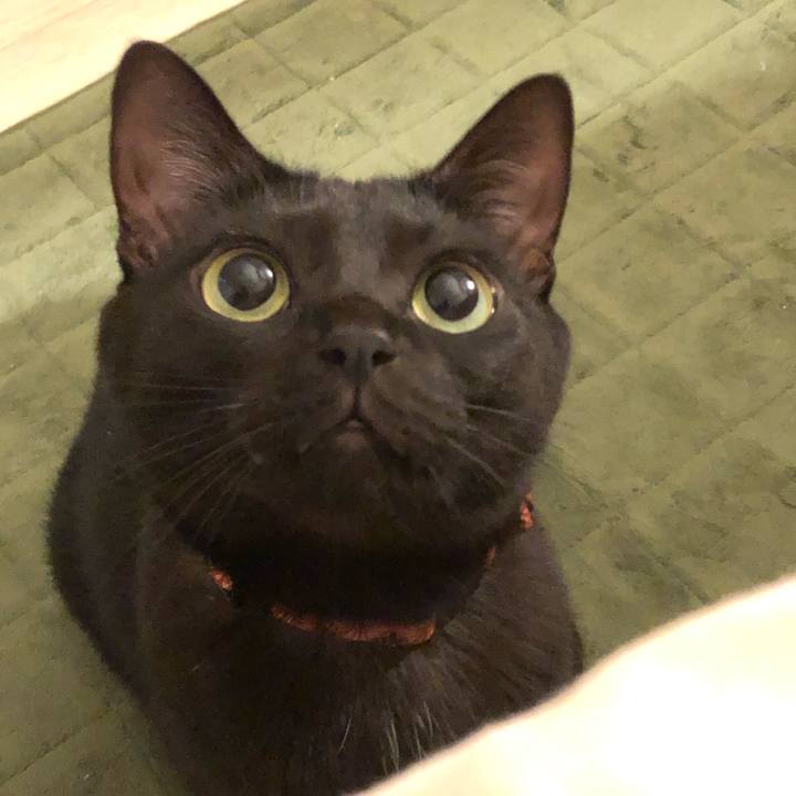 2be33e81 7764 4500 aaa4 54ac23800363 1544535300903