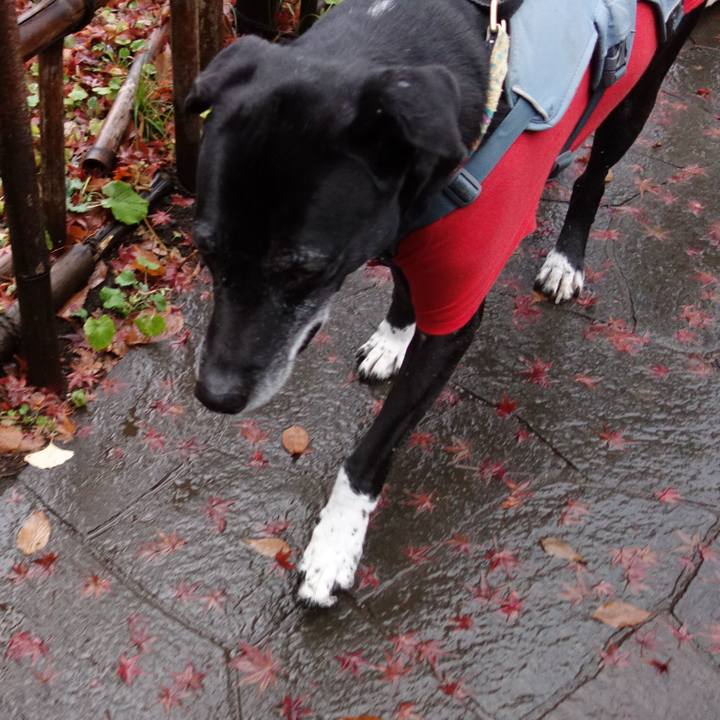 2be35364 e9b0 440b 9aed 3ddb997abea2 1736210203881