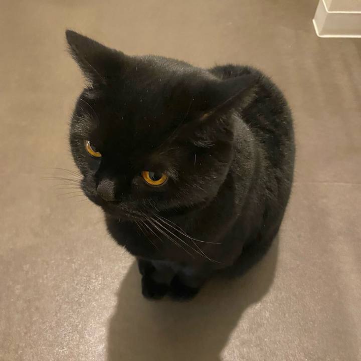 2be37426 511a 491c a29c 4fe9dd763c4a 1742992858257